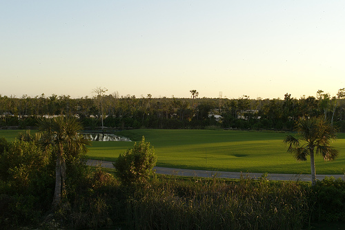 Mayakoba golf