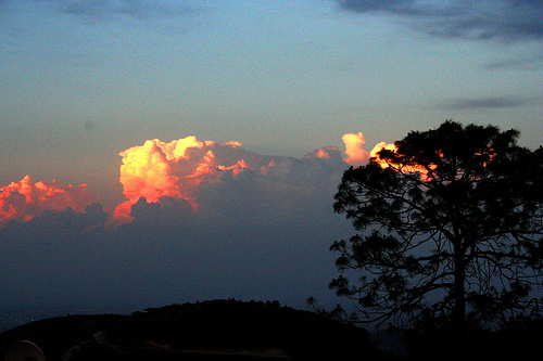 Mayakoba night sky